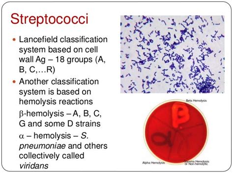 Staphylococcal And Streptococcal Skin Infections