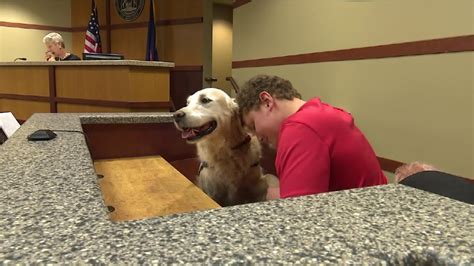 Courthouse Therapy Dogs Now Offered In Kent County