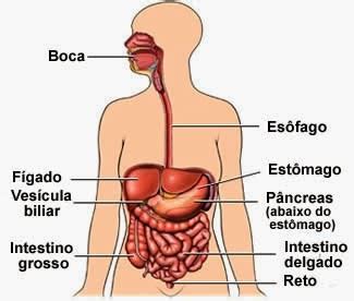 Aprenda Educa O Infantil Quer Aprender Como Ensinar Crian As