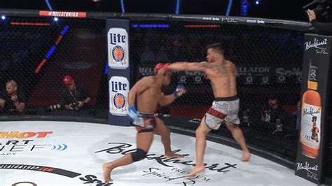 Mixed Martial Arts Fight By Bellator Find Share On Giphy