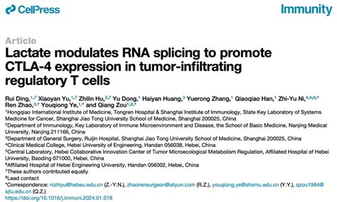 Ctla Rna Treg