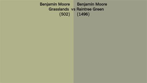 Benjamin Moore Grasslands Vs Raintree Green Side By Side Comparison