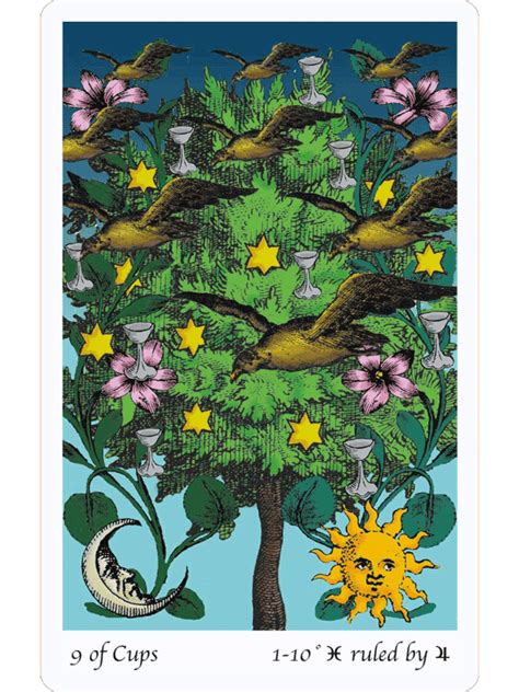 Tarot Moja Pasja Tarot Of The Holly Light