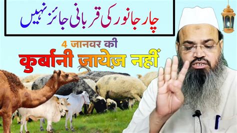 Janwar Ki Qurbani Jayez Nahi Hai By Sheikh Asad Azmi Madani