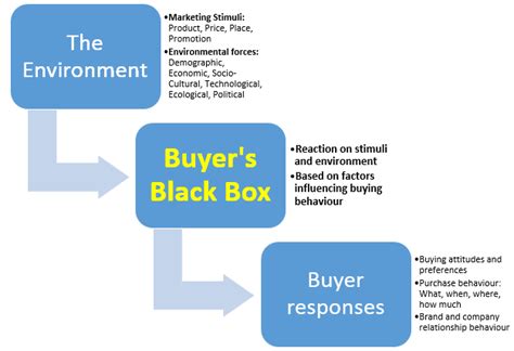 The Buyer Black Box – Buyer’s Characteristics