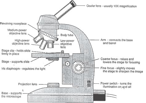 Parts Of A Microscope With Their Function And Labeled Diagram