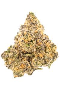 Pop Tarts Strain - Hybrid Cannabis Review, THC, Terpenes : Hytiva