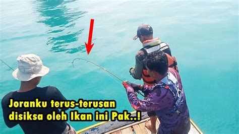 MANCING MANIA JORAN IROLY GOKIL TERSIKSA OLEH TARIKAN IKAN INI