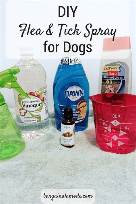 Diy Flea And Tick Spray For House