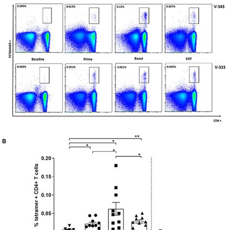 Hcv Specific Mhc Class Ii Tetramer Cd4 T Cells Following Viral