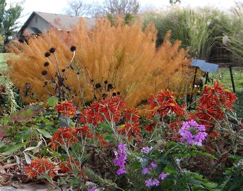 Colors of the Late Fall Garden - Powell Gardens, Kansas City’s botanical garden