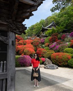 Yuri at Togakuin, the azalea temple | Big Ben in Japan | Flickr