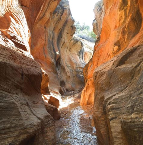 Willis Creek Slot Canyon In Grand Staircase Escalante National Monument