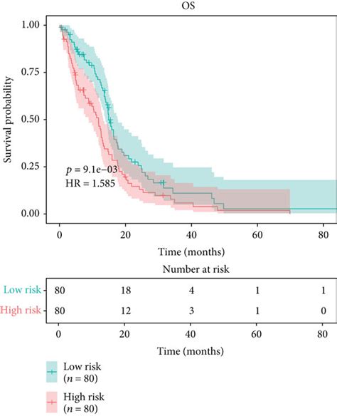 Hypoxia Derived Risk Score Predicts Gbm Prognosis Recurrence And