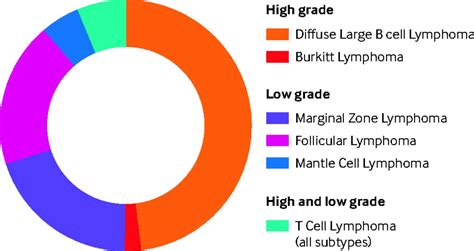 Non Hodgkin Lymphoma The Bmj