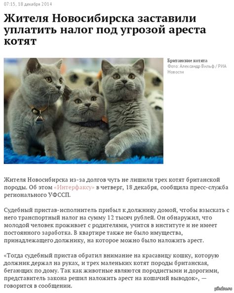 На святое покусился, гад | Пикабу