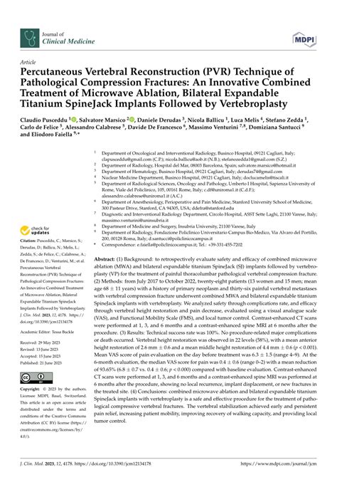 PDF Percutaneous Vertebral Reconstruction PVR Technique Of