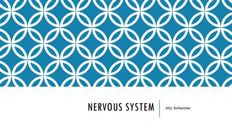 Nervous System Local Brookings K Sd Us