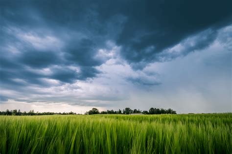 Risks And Challenges Associated With Owning And Operating A Farm