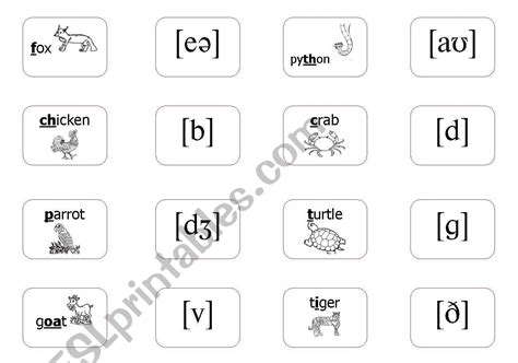 International Phonetic Alphabet Worksheet Nbkomputer