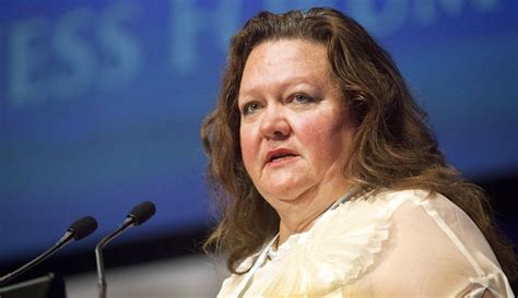 Australian magnate Rinehart takes stake in MP Materials - MINING.COM