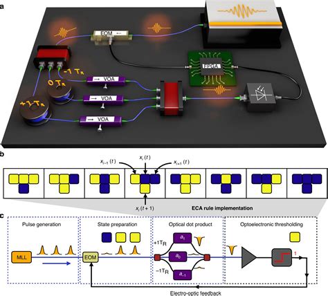 Unlocking photonic computing power with artificial 'life'