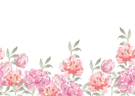 Pink And Red Peony Watercolor Flower Seamless Background 31762143 Png