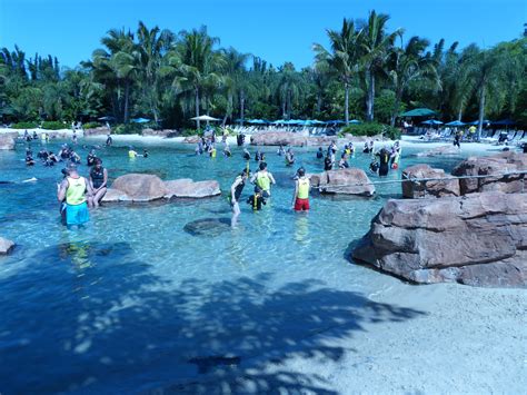 discovery cove map orlando - Waiter E-Journal Bildergalerie