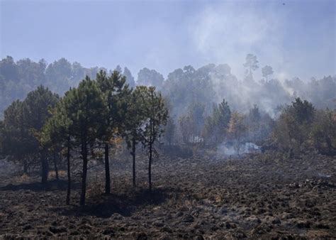 Se Registran 130 Incendios Forestales En Lo Que Va Del Año El Heraldo