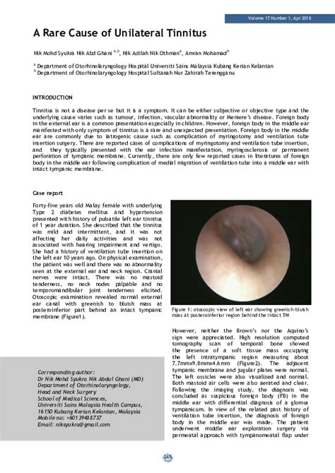 (PDF) A Rare Cause of Unilateral Tinnitus | Nik Adilah Nik Othman ...