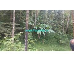 12 Acres Farm Land For Sale At Attapadi Kerala Palakkad Mannarkkad