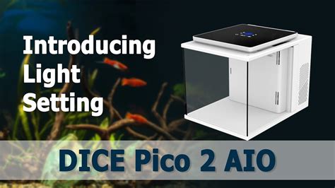 Maxspect DICE Pico 2 AIO Introducing Light Setting YouTube