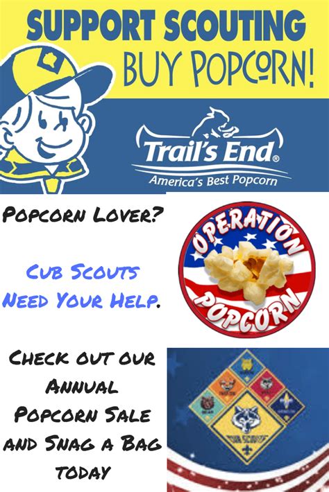 Cub Scout Popcorn Projects To Help You Sell More Popcorn Artofit