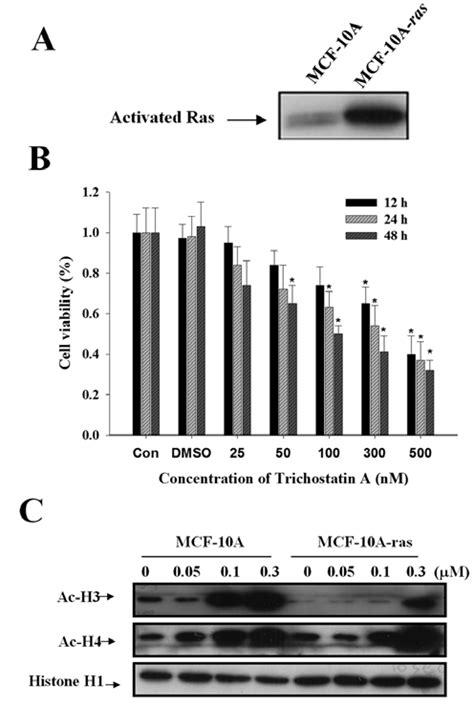 Effects Of Trichostatin A On Ras Oncogene Expression Cell