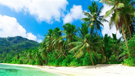 Landscape Forest Sea Bay Nature Sand Clouds Beach Green Hills