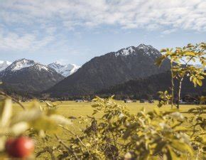 Südallgäu Oberstdorf Hindelang Kleinwalsertal mehr