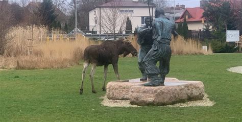 O Odwiedzi Park W Starych Babicach Aktualno Ci Radio Dla Ciebie