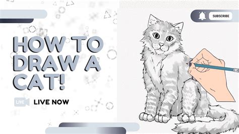 How To Draw A Cat Youtube