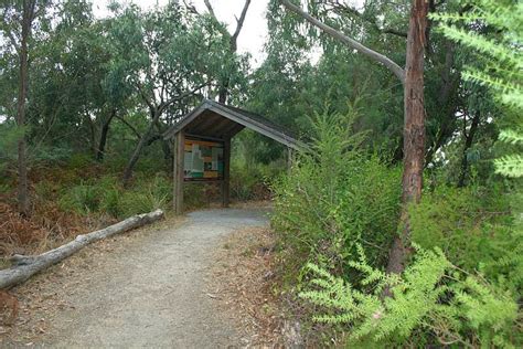 Tracks Trails And Coasts Near Melbourne Langwarrin Fauna And Flkora