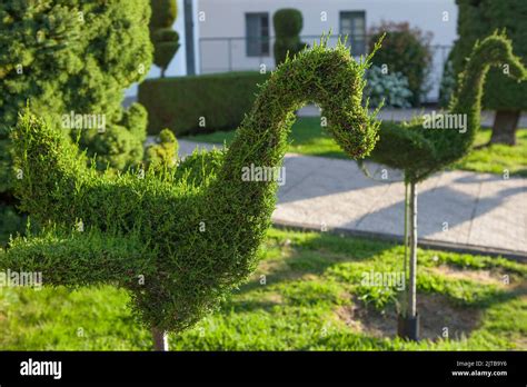 Green Birds Sculptures The Most Distinctive Image Of The Town Losar