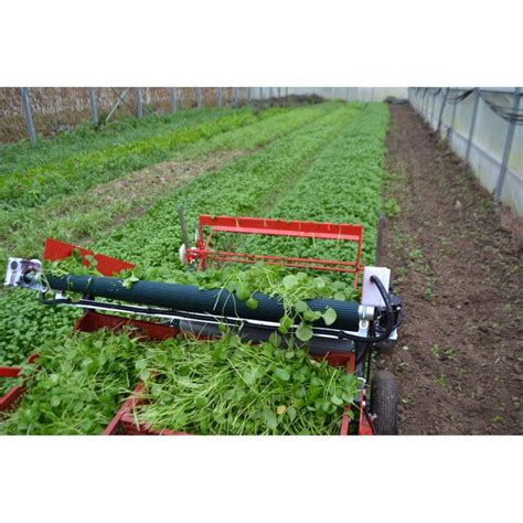 Spinach Harvester T Cg Rjp Terrateck Sas Baby Leaf Lettuce