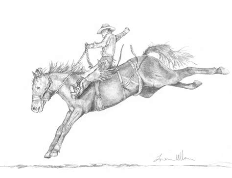 Bucking Horse Drawing at PaintingValley.com | Explore collection of Bucking Horse Drawing