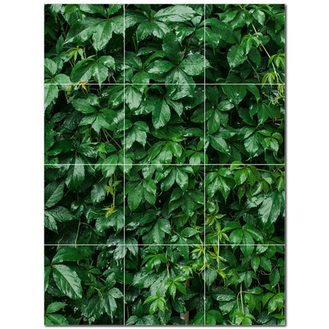 Picture 18 X 24 Ceramic Trees Photo Decorative Mural Tile Pt501006 6 X 6 Set Of