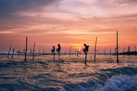 Premium Photo Traditional Stilt Fishing In Sri Lanka