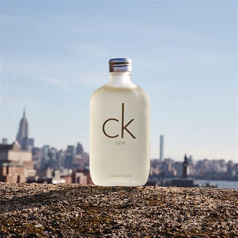 Calvin Klein CK One Eau De Toilette Spray The Perfume Shop