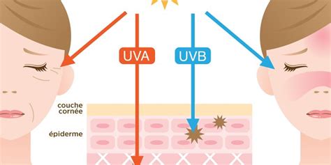 Les Effets Du Soleil Sur Le Vieillissement De La Peau Blogue Davincia