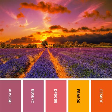 31 Sunset Color Palettes For Captivating Designs Color Meanings