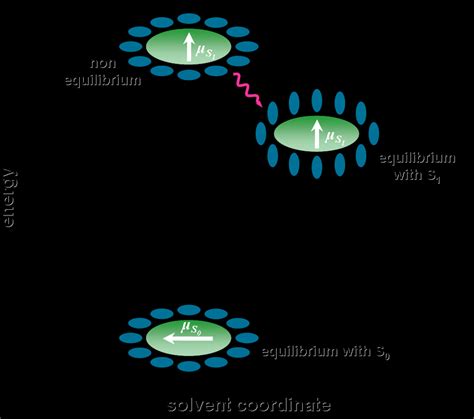 1 Solvation Dynamics Schematic Representation Of The Equilibrium And