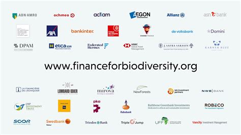 11 More Financial Institutions Signed The Finance For Biodiversity Pledge Finance For