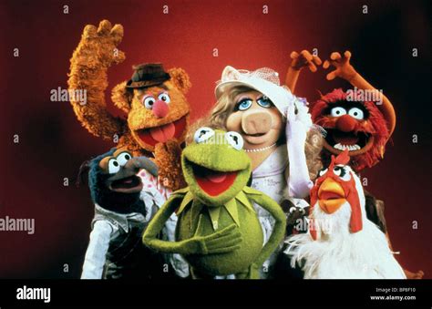 Gonzo Fozzie Bear Kermit The Frog Miss Piggy And Animal The Muppet Show